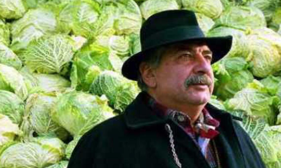 MONTALTO. Tutto pronto per la sagra del Cavolo Verza