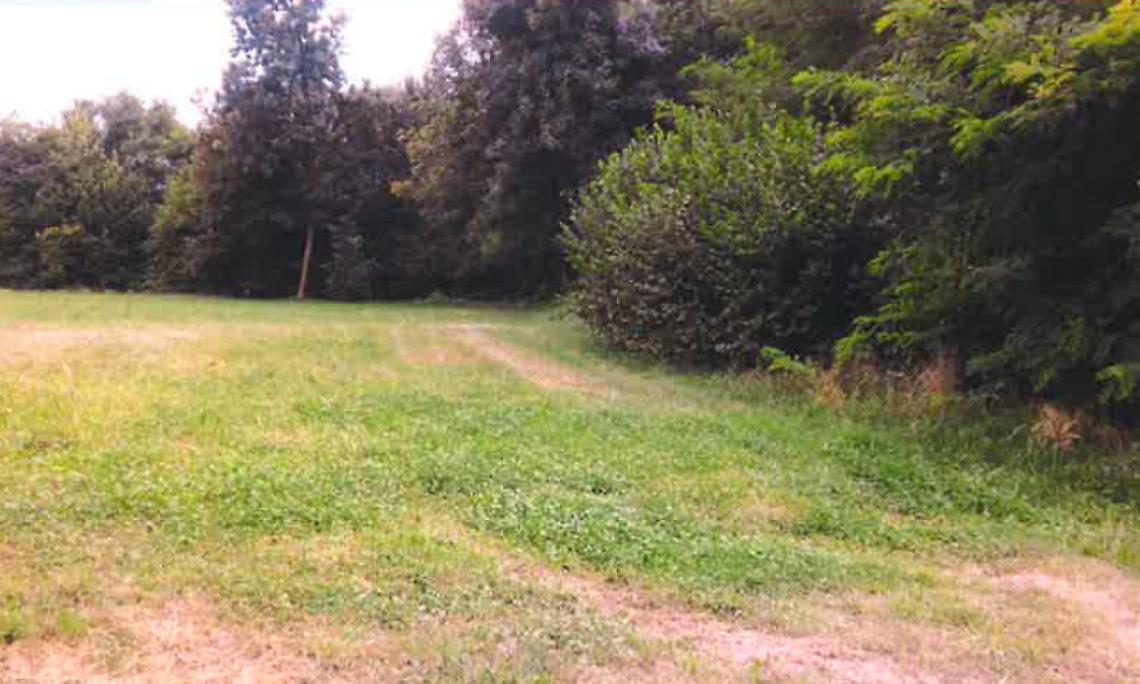 SAN MAURIZIO. Arrivano finalmente gli orti urbani