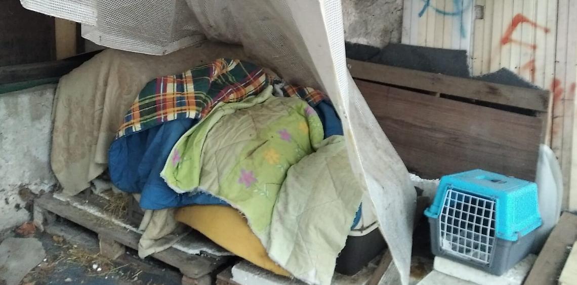 IVREA. Colonie di gatti dimenticate. L’appello di una cittadina!
