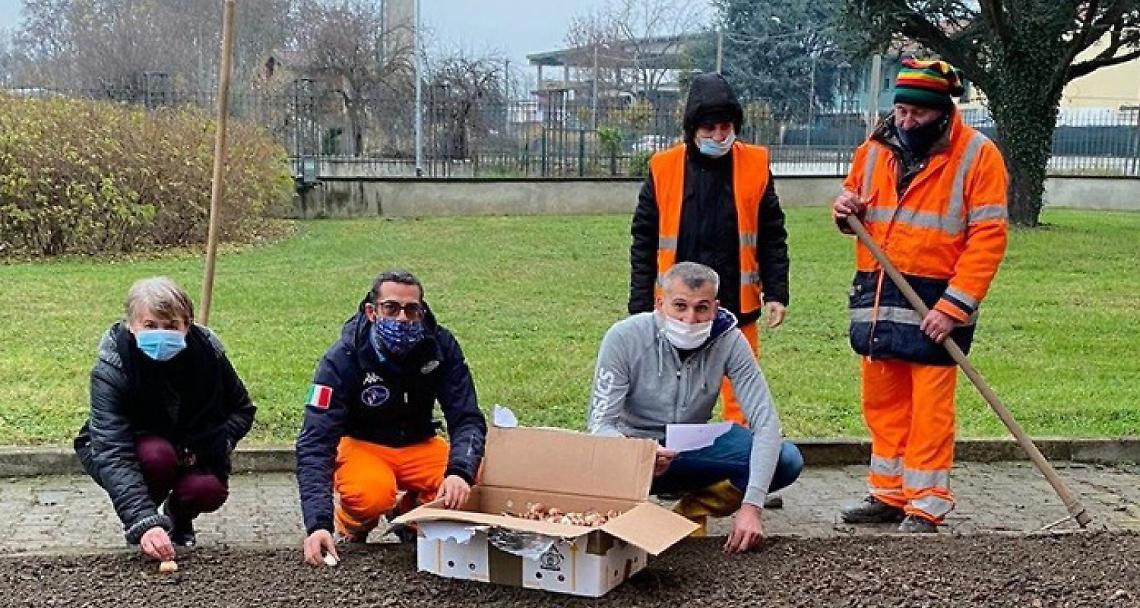 CRESCENTINO. Seicento tulipani da Pralormo alle aiuole del Parco Tournon
