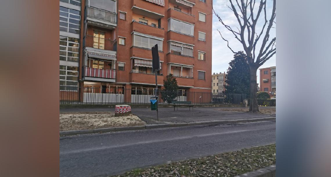 VENARIA. Completata la potatura degli alberi in via Di Vittorio, nel quartiere di Altessano