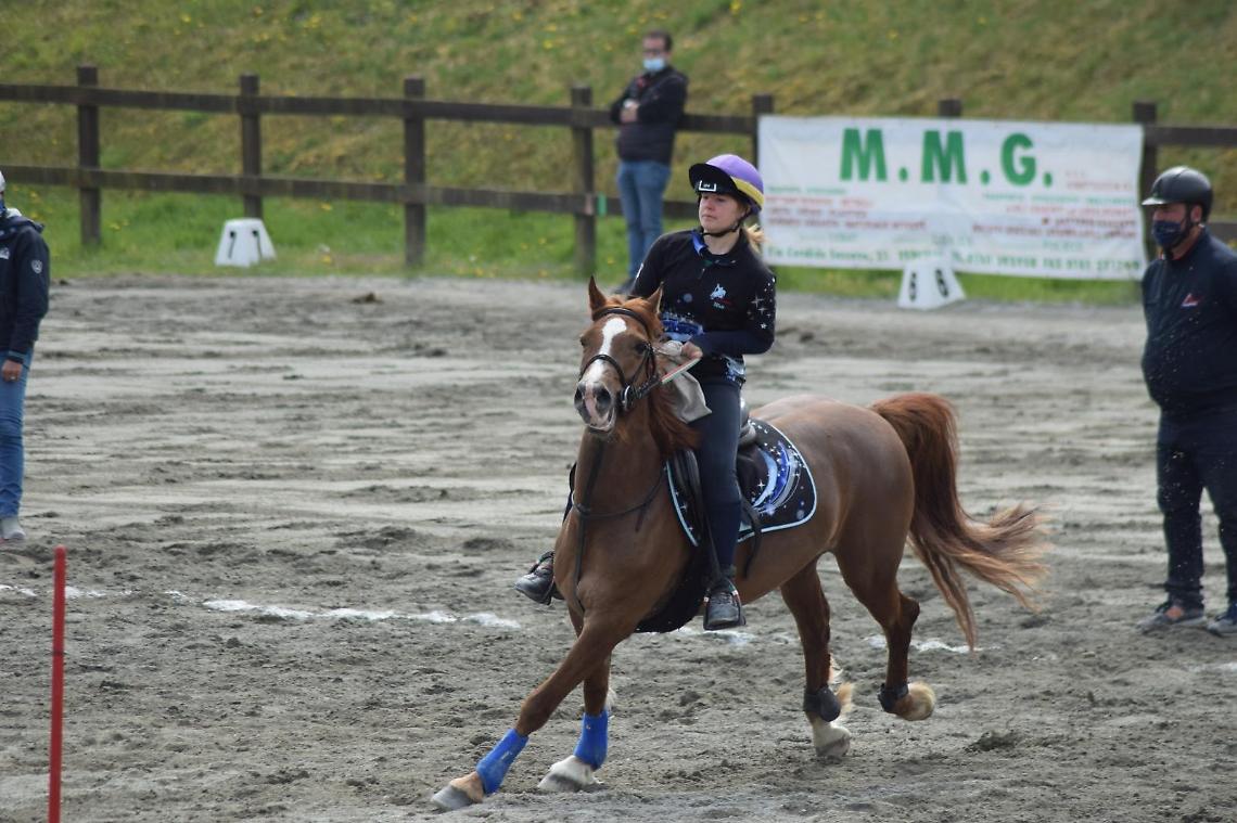 SPORT EQUESTRI. J&amp;G La Scuderia in campo per il prestigioso Trofeo 4 Regioni