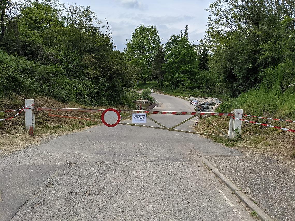 DRUENTO. Tori della Camargue in libertà: ne mancano ancora tre