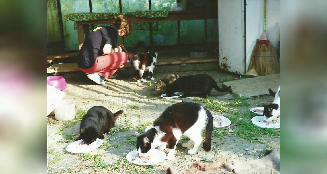 TRINO VERCELLESE. L’associazione A-Mici acquista una casa in cui curare e ospitare i gatti della città