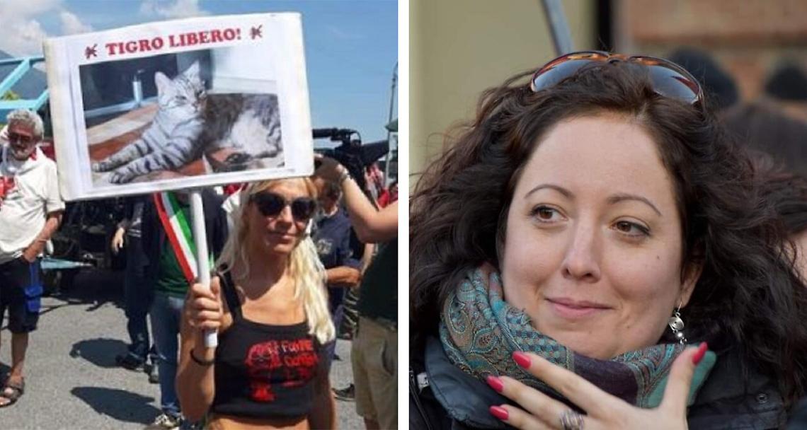 BRUSASCO. “Tigro libero!”. Anche il gatto di Dana non torna in Val di Susa