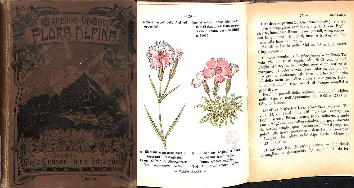Flora alpina tascabile per i touristi delle Alpi e degli Appennini