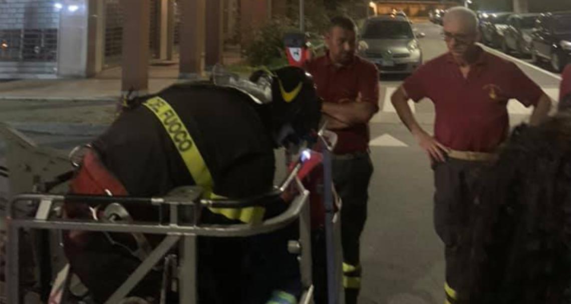 CIRIÈ. Disavventura a lieto fine per un gattino rimasto bloccato sul tetto del palazzo