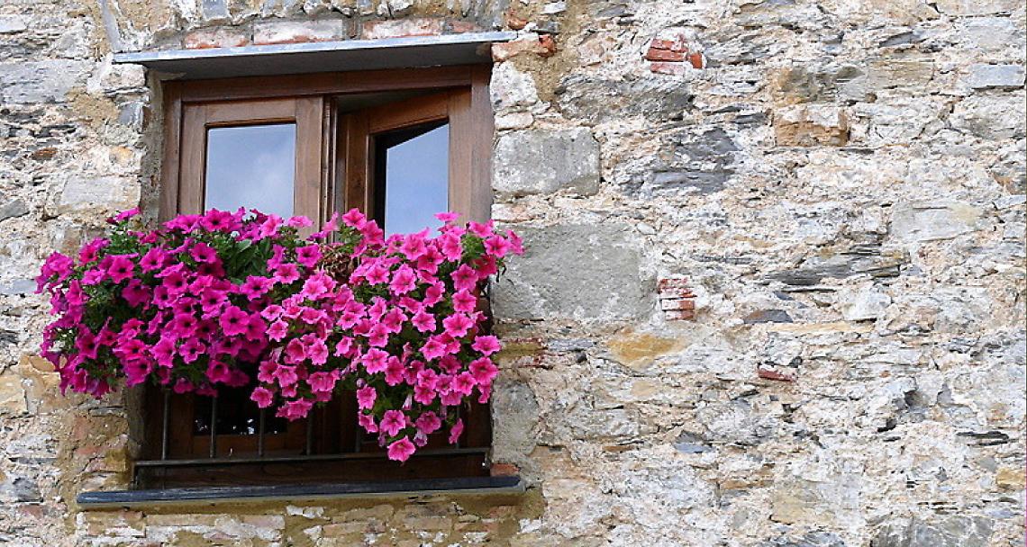 SAMONE. Per la patronale c’è il concorso “San Rocco in fiore” organizzato dal Comune