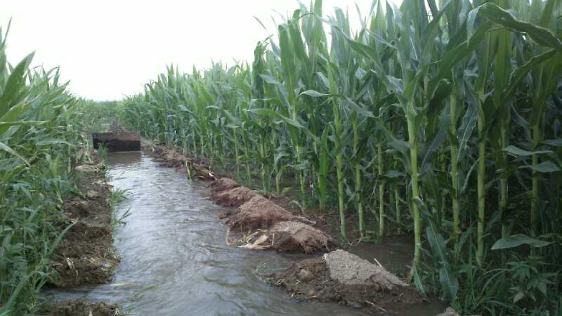 BOSCONERO. Lite per l’acqua: arrestato e subito rilasciato un agricoltore