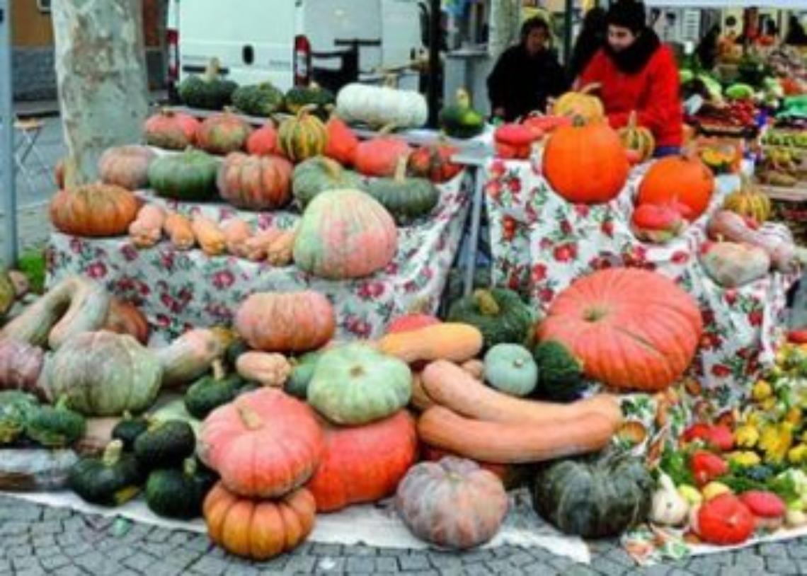 SCIOLZE. Tutto pronto per la diciannovesima Sagra della Zucca, domenica 3 ottobre