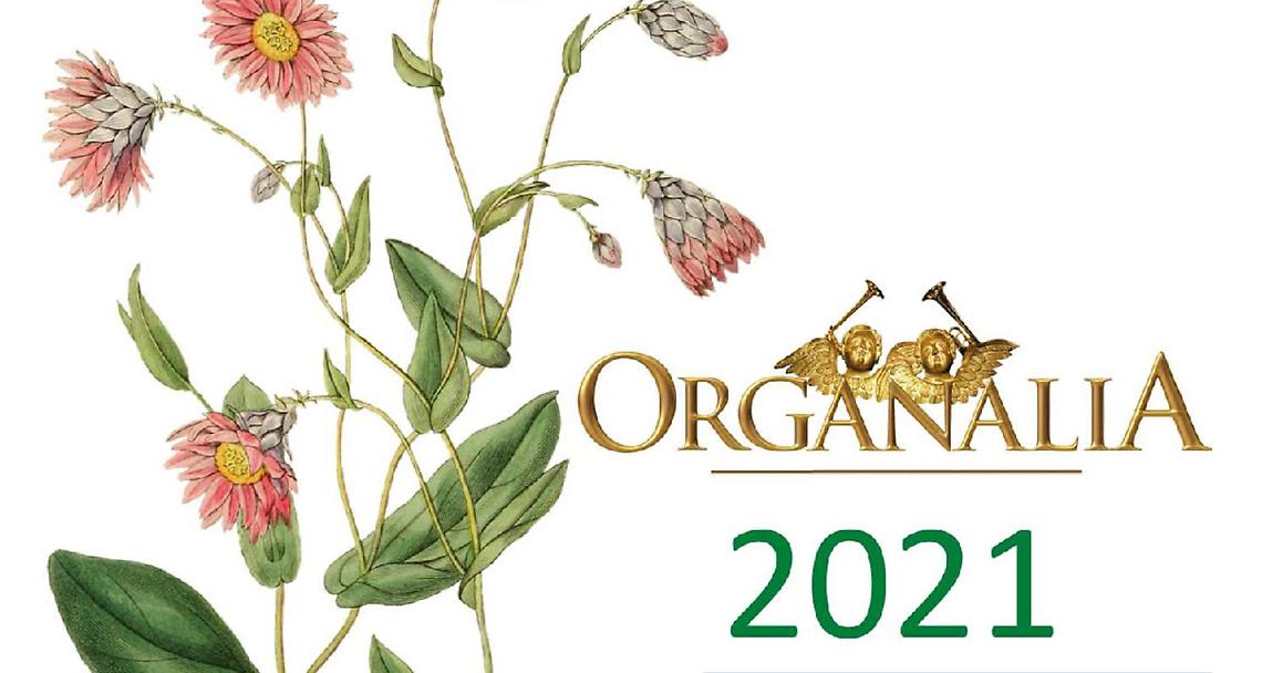 CIRIÈ. Organalia propone le “Arie Sacre” per voce e organo