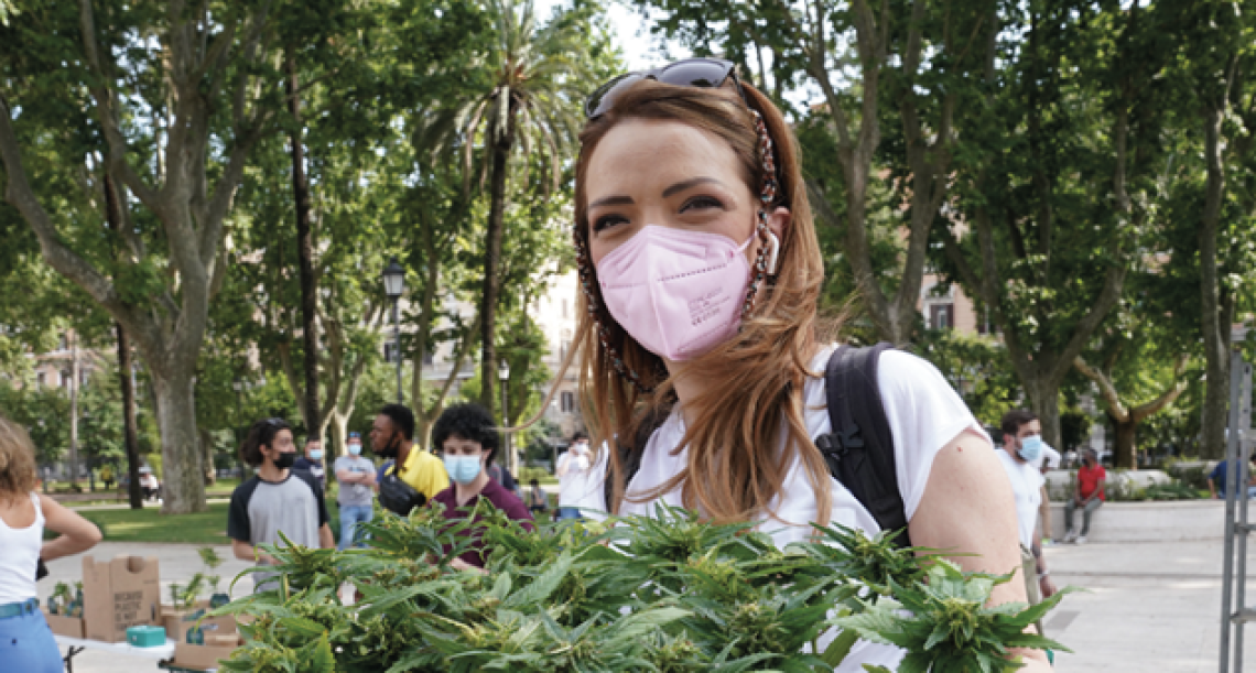 RIVALBA. Referendum sulla Cannabis: il comune è inadempiente