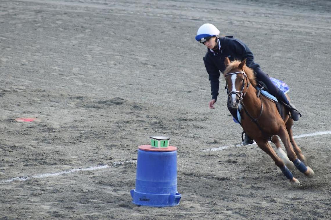 SPORT EQUESTRI. Il Campionato Italiano Mounted Games fa tappa al centro ippico J&amp;G La Scuderia