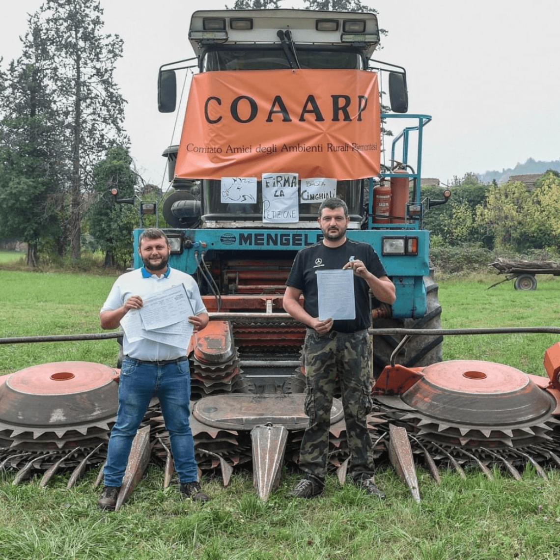 MONTEU DA PO. Una petizione contro il proliferare dei cinghiali nelle campagne