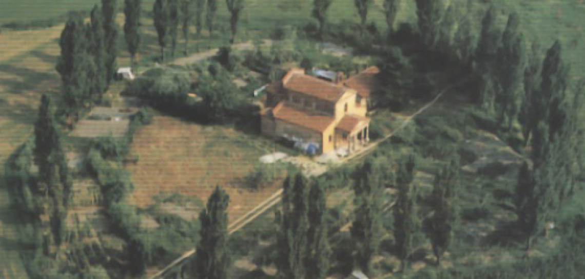 TRINO VERCELLESE. Nuovi scavi archeologici a San Michele in Insula