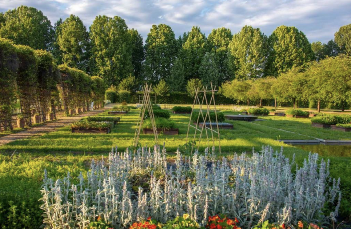 VENARIA. “Ingresso gratuito ai giardini della Reggia per i residenti”