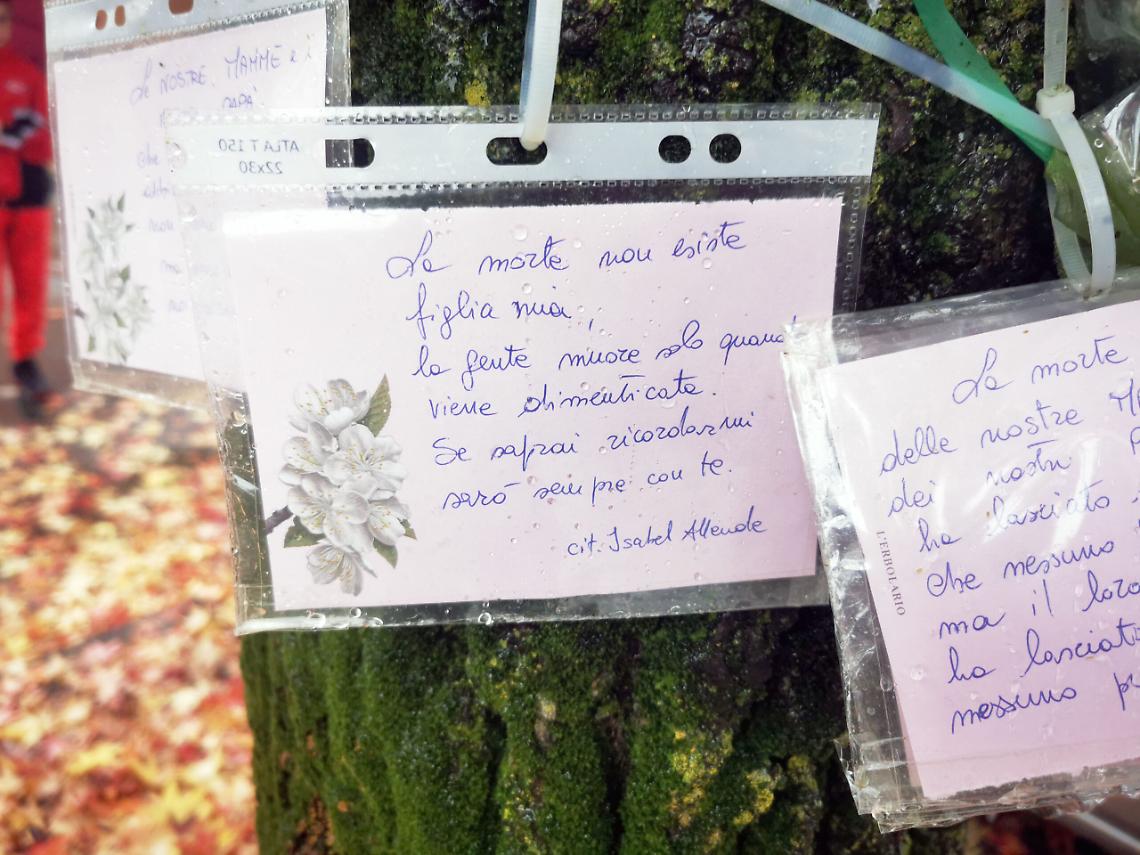 Covid: Venaria Reale ricorda le 50 vittime della "Piccola Reggia"