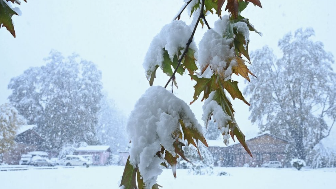 Settimo Torinese. Palle di neve