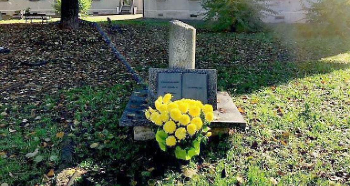 VENARIA REALE. Un IV Novembre speciale con i fiori donati da una misteriosa fioraia