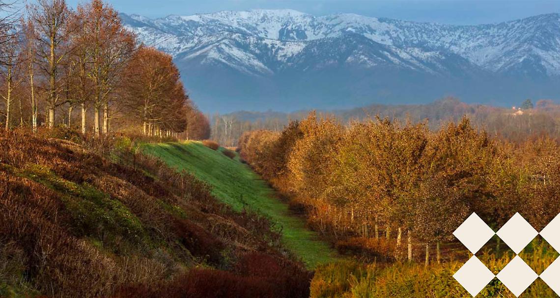 VENARIA REALE. I Mercoledì del Paesaggio. Changing Landscape: dialoghi per una riflessione sul paesaggio