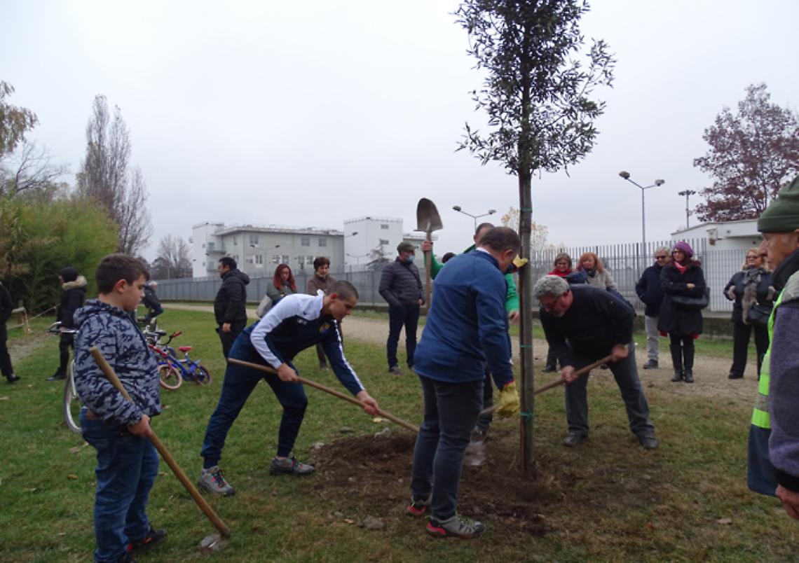 SETTIMO TORINESE: Altri alberi per il futuro e la salute della città/Video
