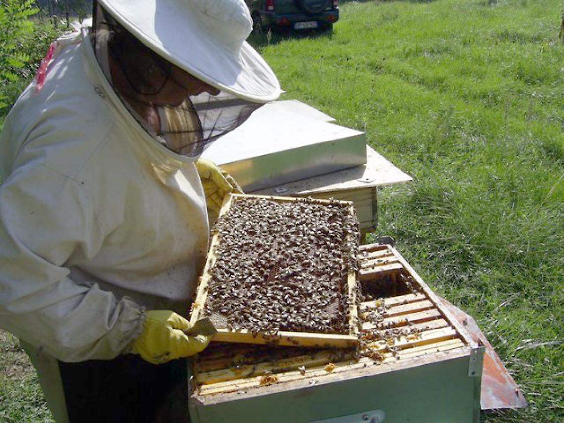 Non ci sono pi&ugrave; le mezze stagioni: "Anche noi vittime del cambiamento climatico"