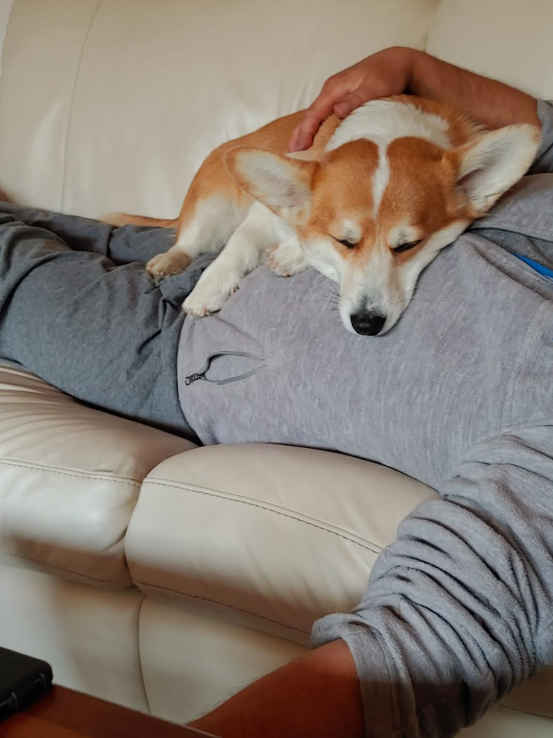 Dormire tra due guanciali&hellip;.