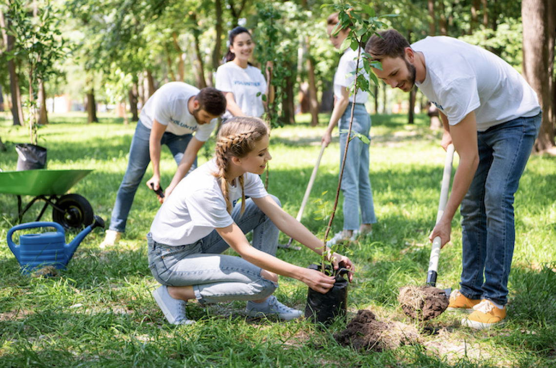 LIVORNO FERRARIS. Domenica 24 s’inaugura il “Bosco dei nuovi nati”