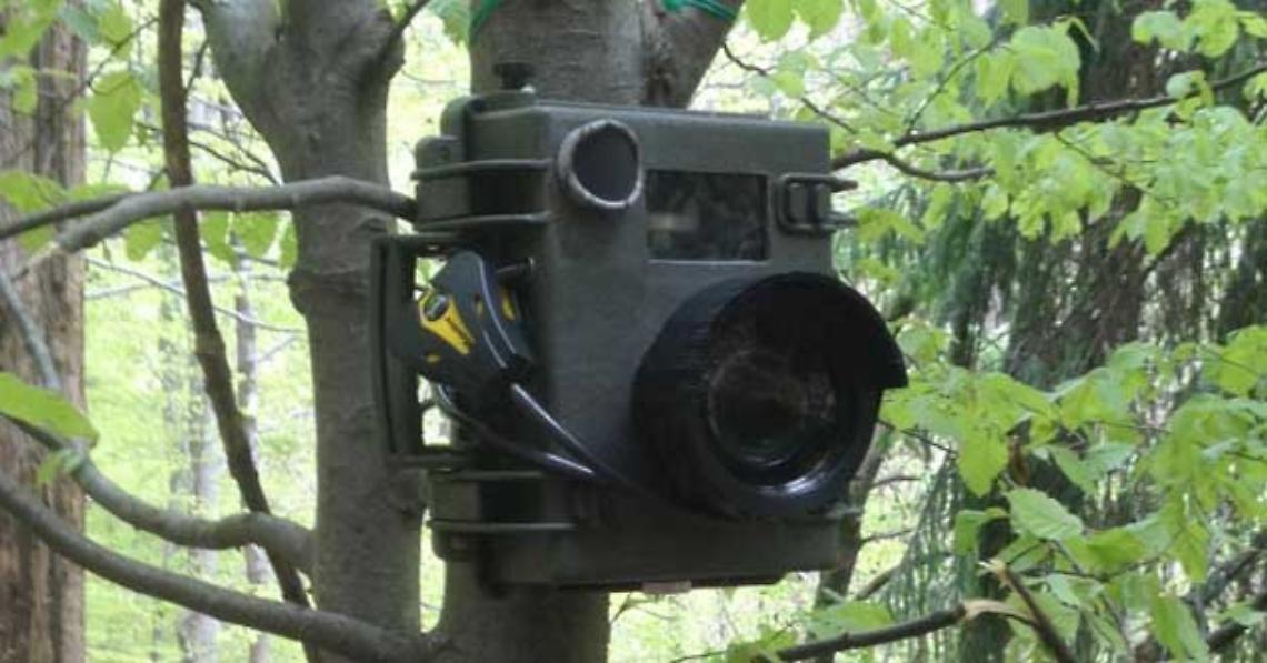 Getta rifiuti per strada, ma viene beccato dalla fototrappola