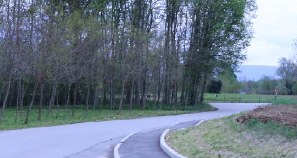 FIORANO CANEVASE. Truffatore in agguato nelle strade di campagna, alla guida di un’Audi