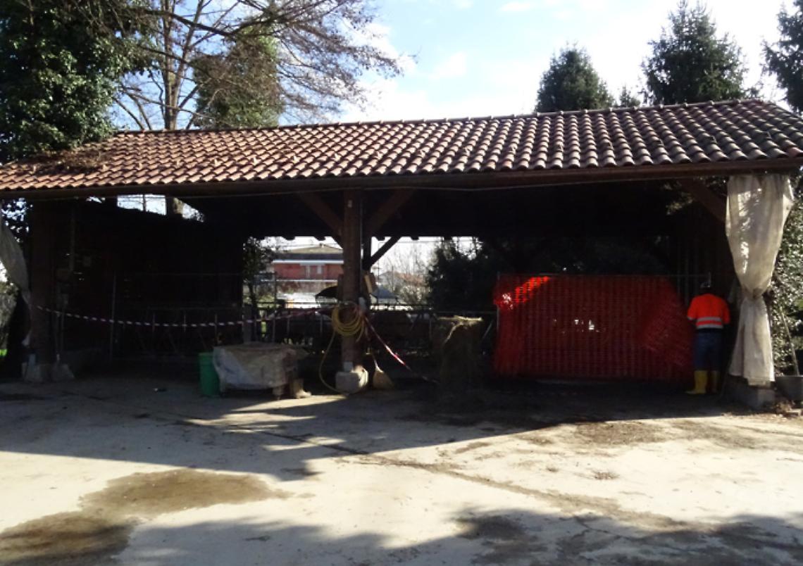 SETTIMO TORINESE Lucchetto e sigilli alla tettoia delle mucche del Rio Freidano/Video