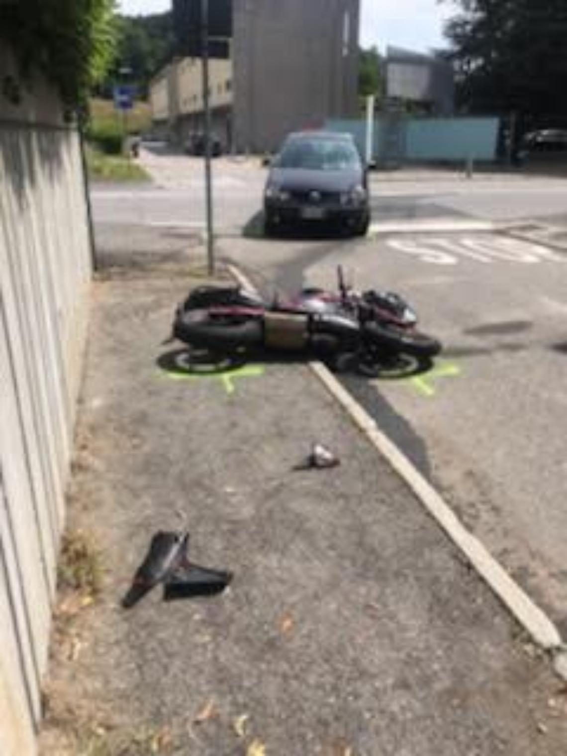 IVREA. Centauro di Pavone in gravissime condizioni