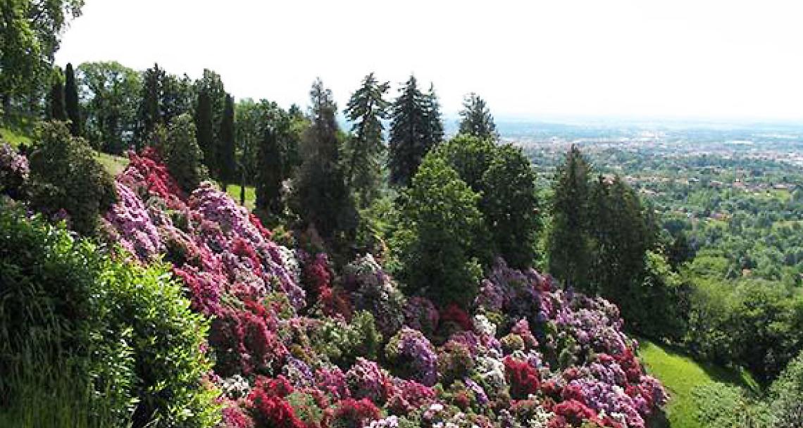 CIGLIANO. Con Vita Tre al Parco della Burcina