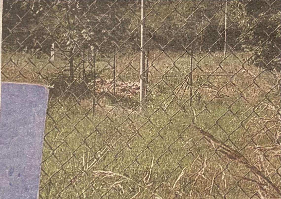 GASSINO TORINESE. Un bando per provare a riaprire il campo Olindo Fiore di Bussolino