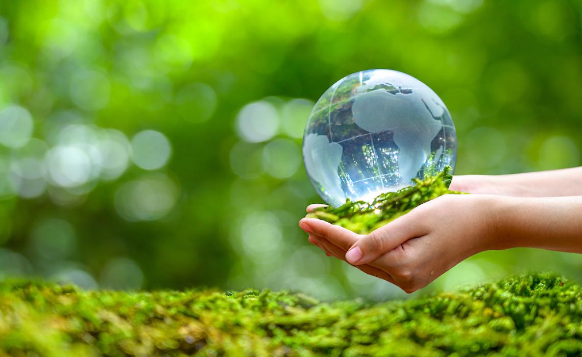 TRINO VERCELLESE. Camminata ecologica