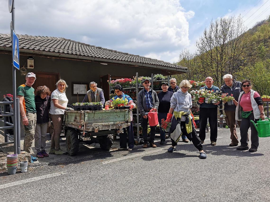 INGRIA. Arrivano gli americani per giudicare la floricoltura del paese