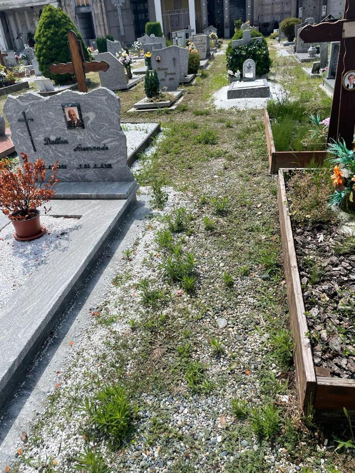 Ivrea. Le bugie dell'assessore Cafarelli hanno le gambe corte. Il cimitero è davvero un disastro