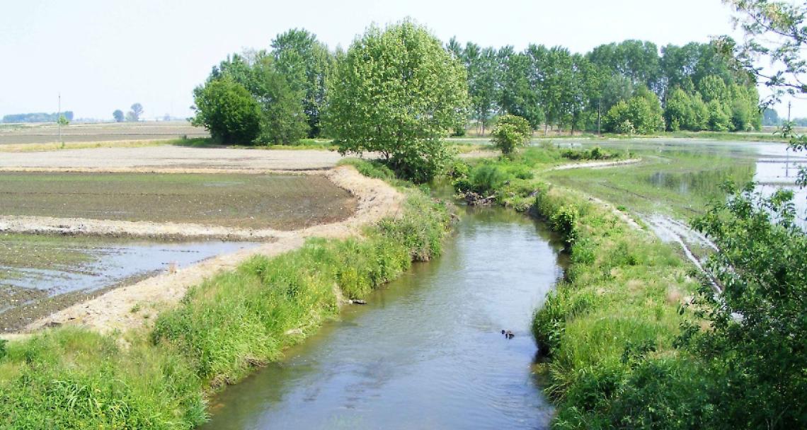 Un tratto della Roggia Camera