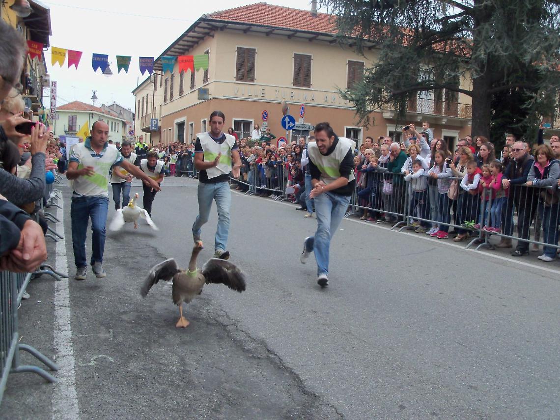 PALIO DELLE OCHE, SAN MAURIZIO CANAVESE