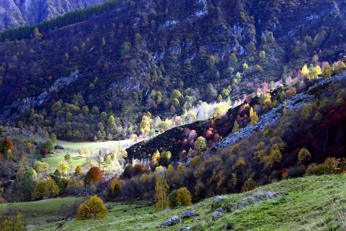USSEGLIO. Un percorso per immergersi negli elementi naturali