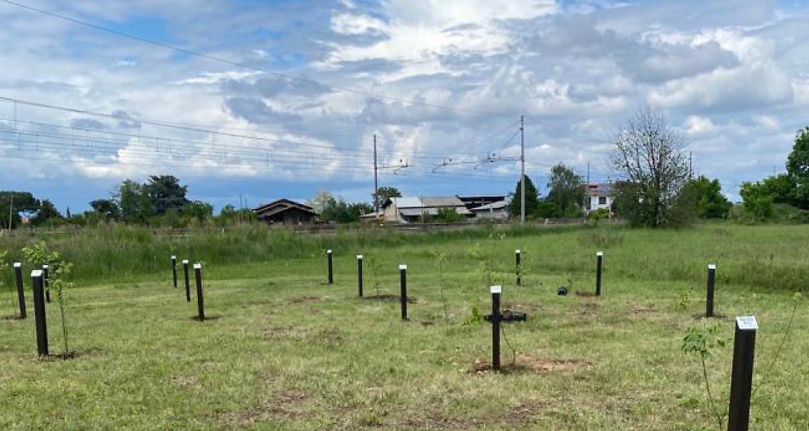 LIVORNO FERRARIS. Cresce il “Bosco dei nuovi nati”