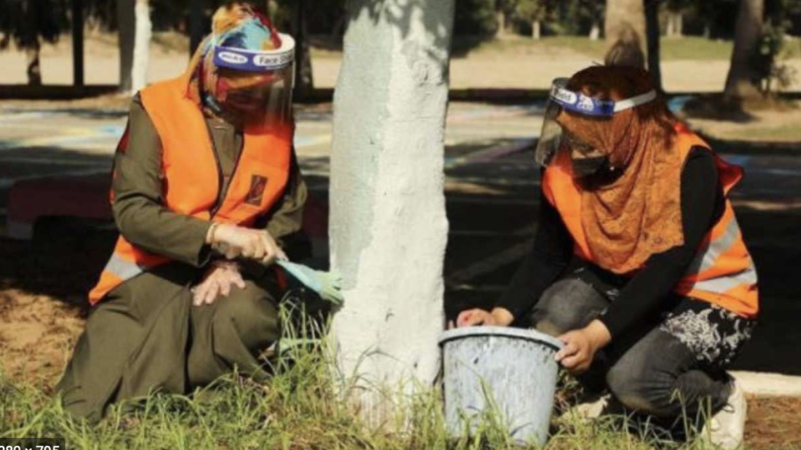 MATHI. Arrivano i progetti per la collettività per chi percepisce il reddito di cittadinanza