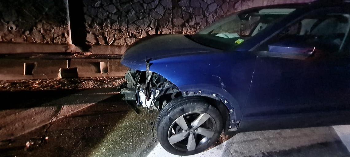 Tragedia sfiorata in autostrada: investiti 8 cinghiali. Tutti morti