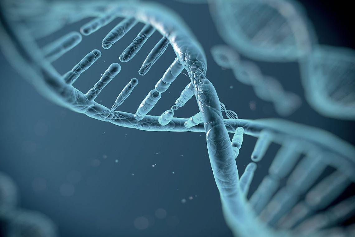 CIGLIANO. Marianna Saviozzi a Vita Tre parla di biologia molecolare