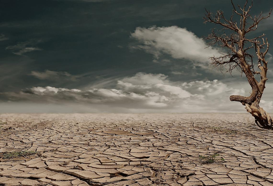 Cambiamento climatico
