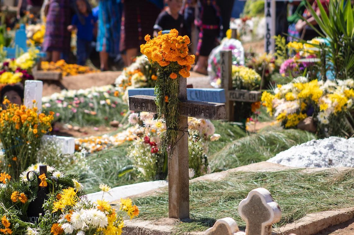 Furti di fiori e scippi al cimitero