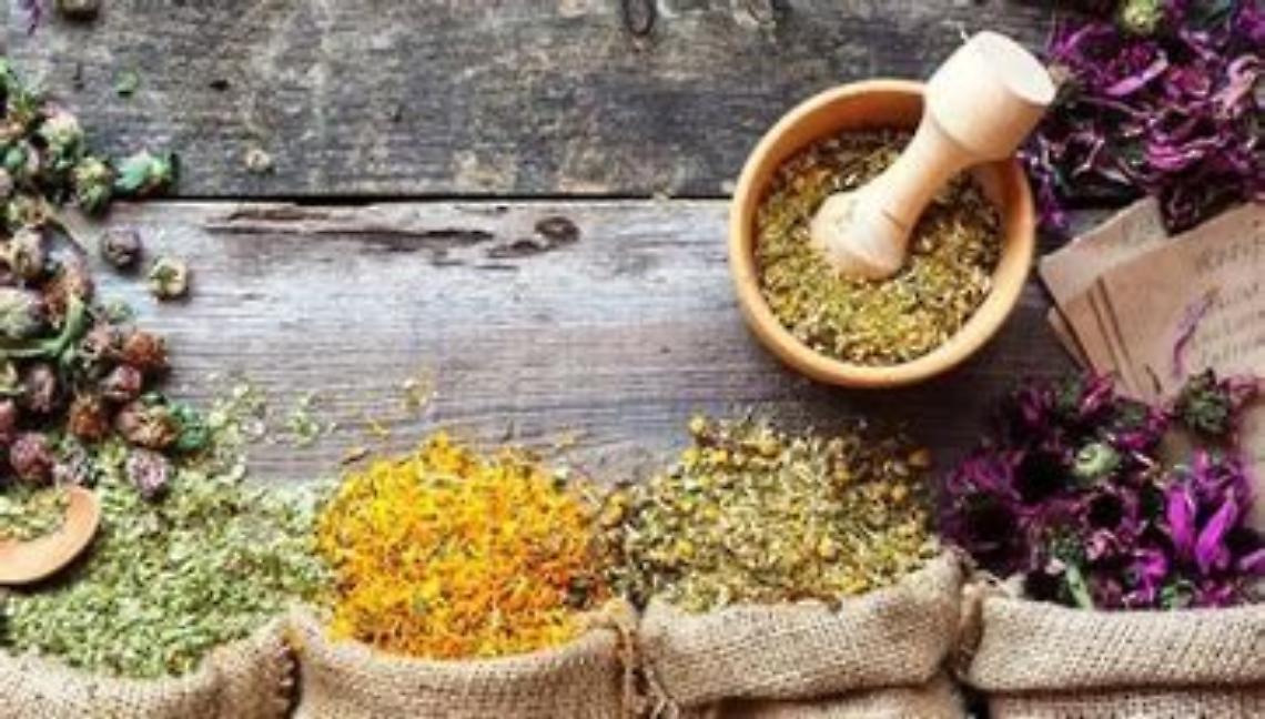 LE PIANTE OFFICINALI