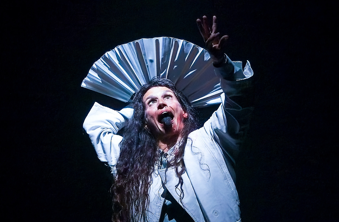 Hamlet puppet