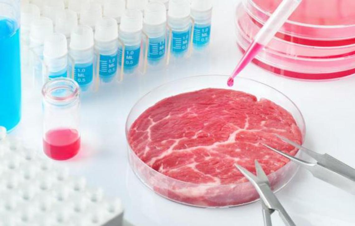 Tutti a dichiarare guerra alla "Carne sintetica". Tu da che parte stai? Ecco i pro e i contro