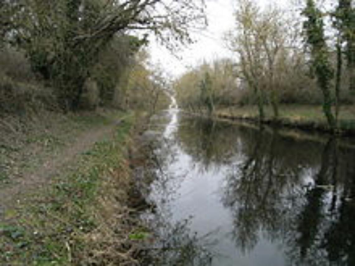saluggia